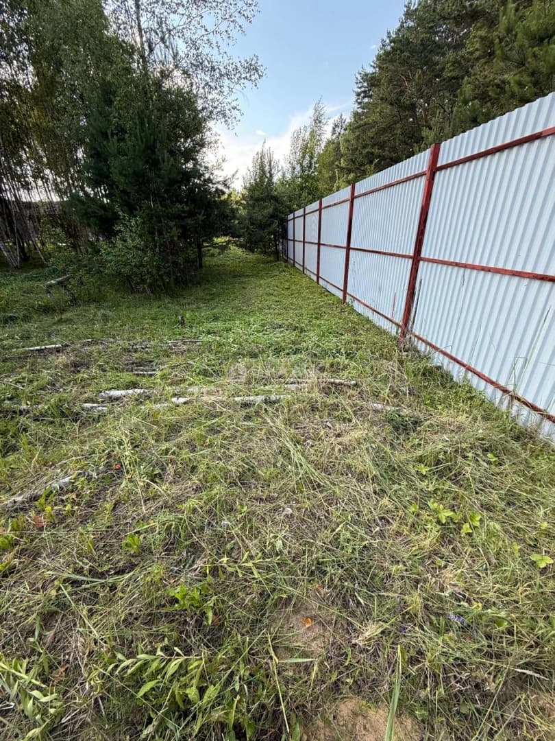 Photo 6