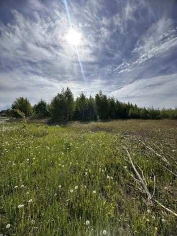 Купить земельный участок в Посёлоке Новом в Медведевском районе в Республике Марий эл. Вариант № 2190684, 0, площадь - квм, цена 600000 рублей