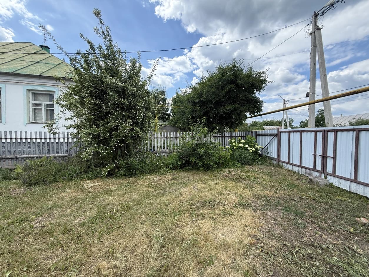 Photo 25