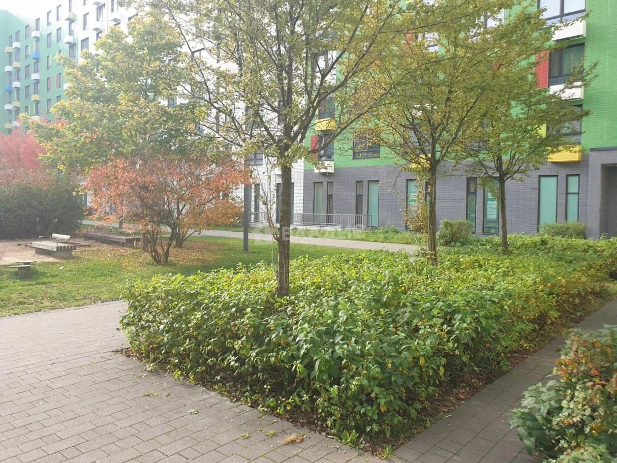 Photo 17