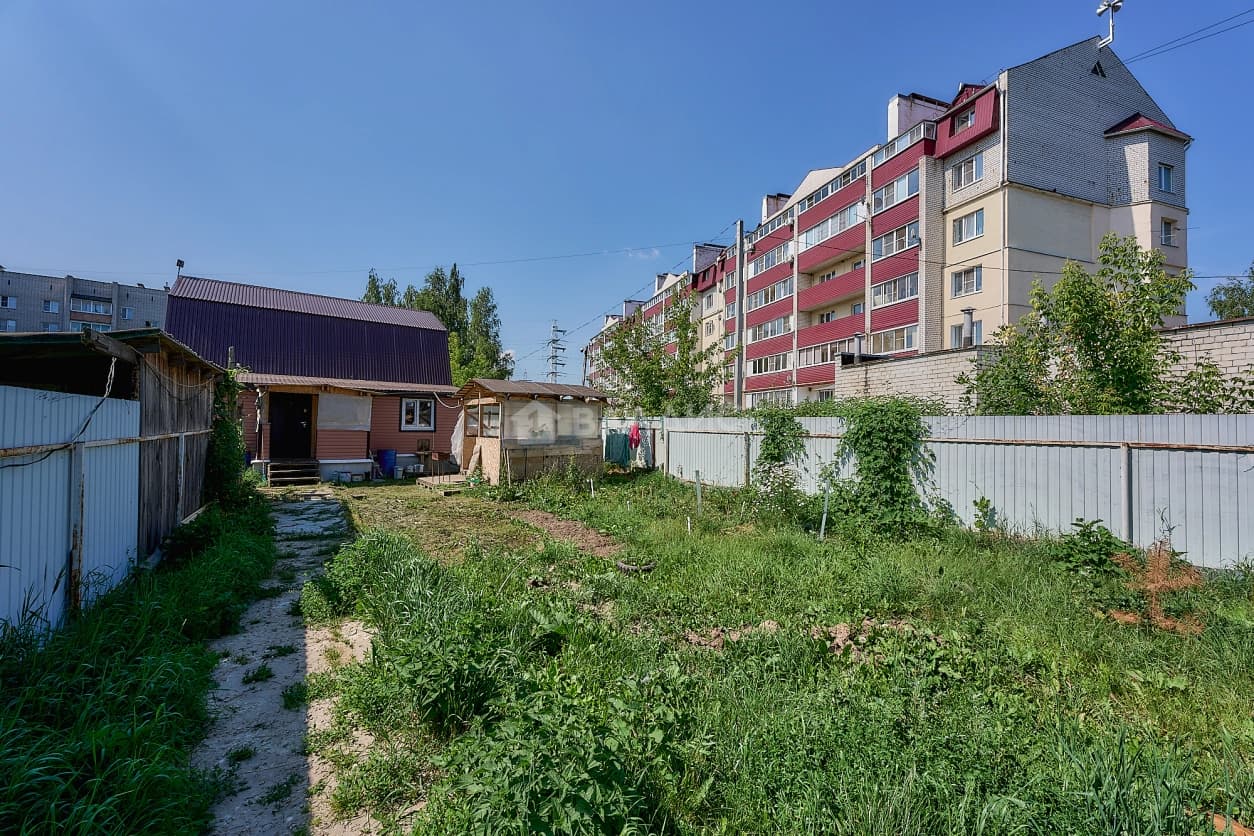 Photo 23