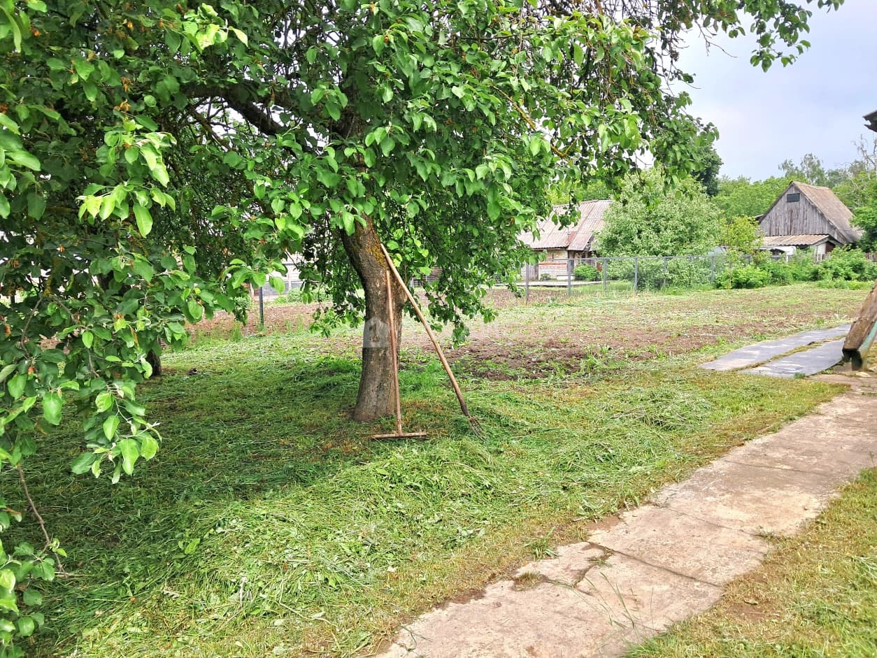 Photo 20
