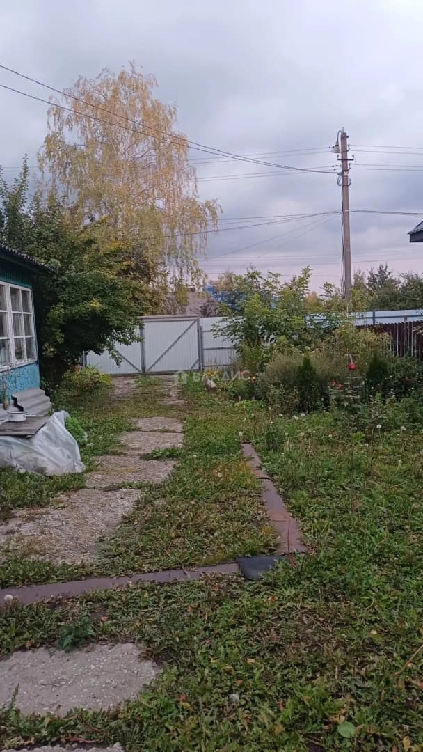 Photo 46