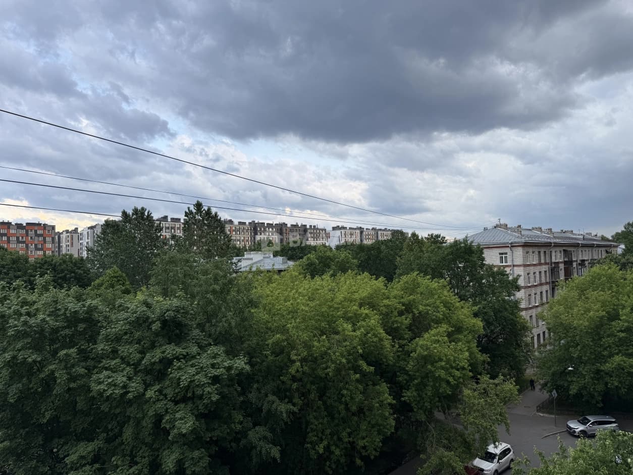 Photo 42