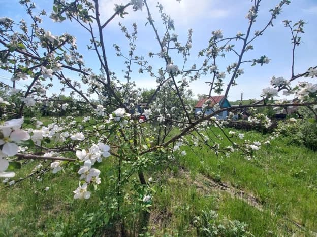 Купить земельный участок в Городищенском районе в Пензенской области. Вариант № 2179450, 1, площадь - квм, цена 180000 рублей