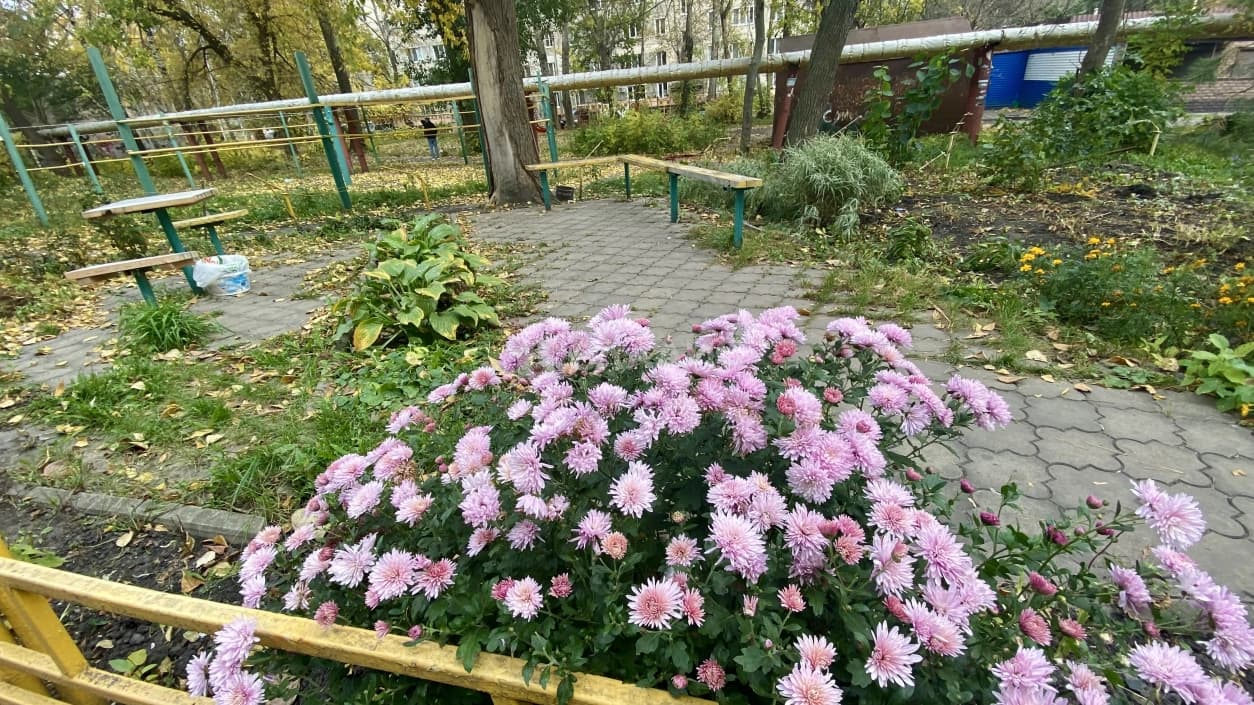 Photo 21