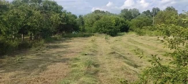 Купить земельный участок в селе Красное в Белгородском районе в Белгородской области. Вариант № 2287615, 0, площадь - квм, цена 5300000 рублей