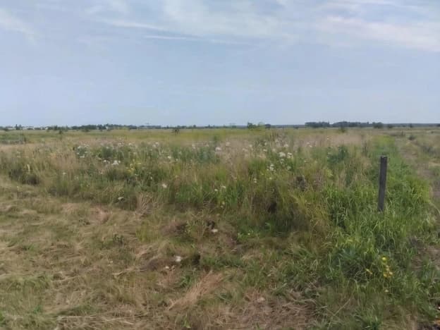 Купить земельный участок в селе Богословка в Пензенском районе на улице Банная , село Богословка в Пензенской области. Вариант № 2302891, 1, площадь - квм, цена 600000 рублей