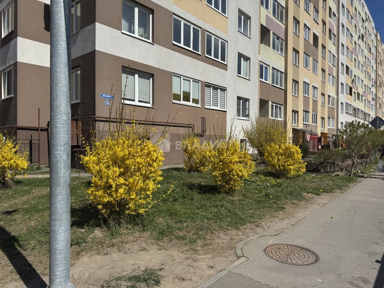 Photo 22