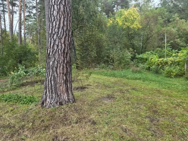 Купить земельный участок в ИЖС в Новосибирской области. Вариант № 2108166, 1, площадь - квм, цена 8680000 рублей