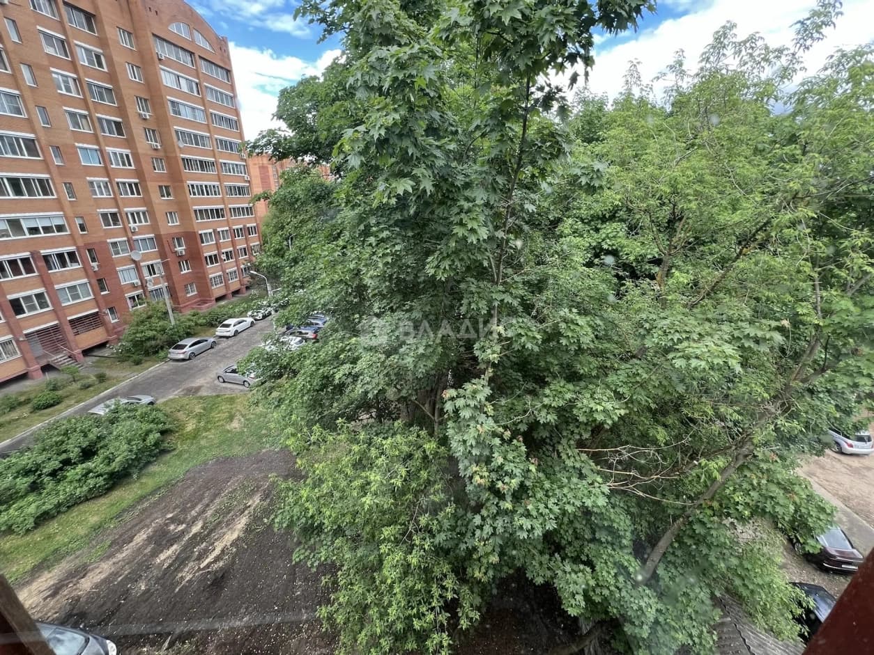 Photo 35