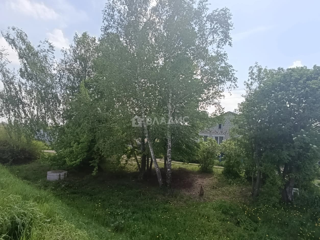 Photo 35