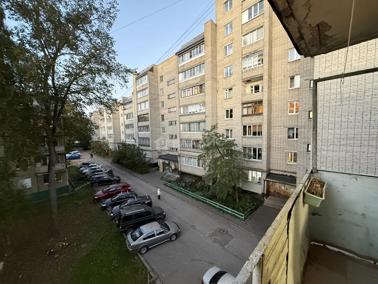 Photo 15