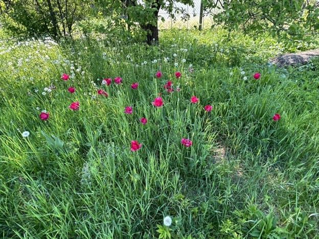 Купить земельный участок на улице Астраханская в Лакинске. Вариант № 1073789, 0, площадь - квм, цена 1580000 рублей