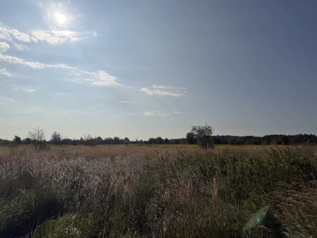 Купить земельный участок в Калининградской области. Вариант № 2315512, 0, площадь - квм, цена 3600000 рублей