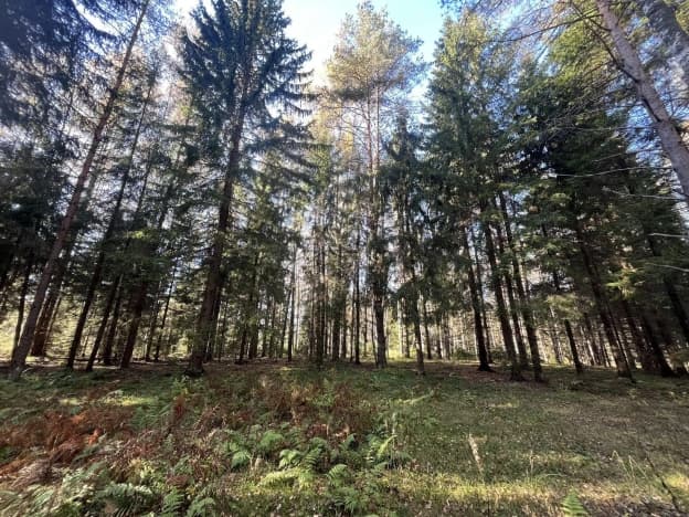 Купить земельный участок в Деревне Мистолове в Всеволожском районе на улице Кольцевая , деревня Мистолово в Ленинградской области. Вариант № 2380805, 1, площадь - квм, цена 7265500 рублей