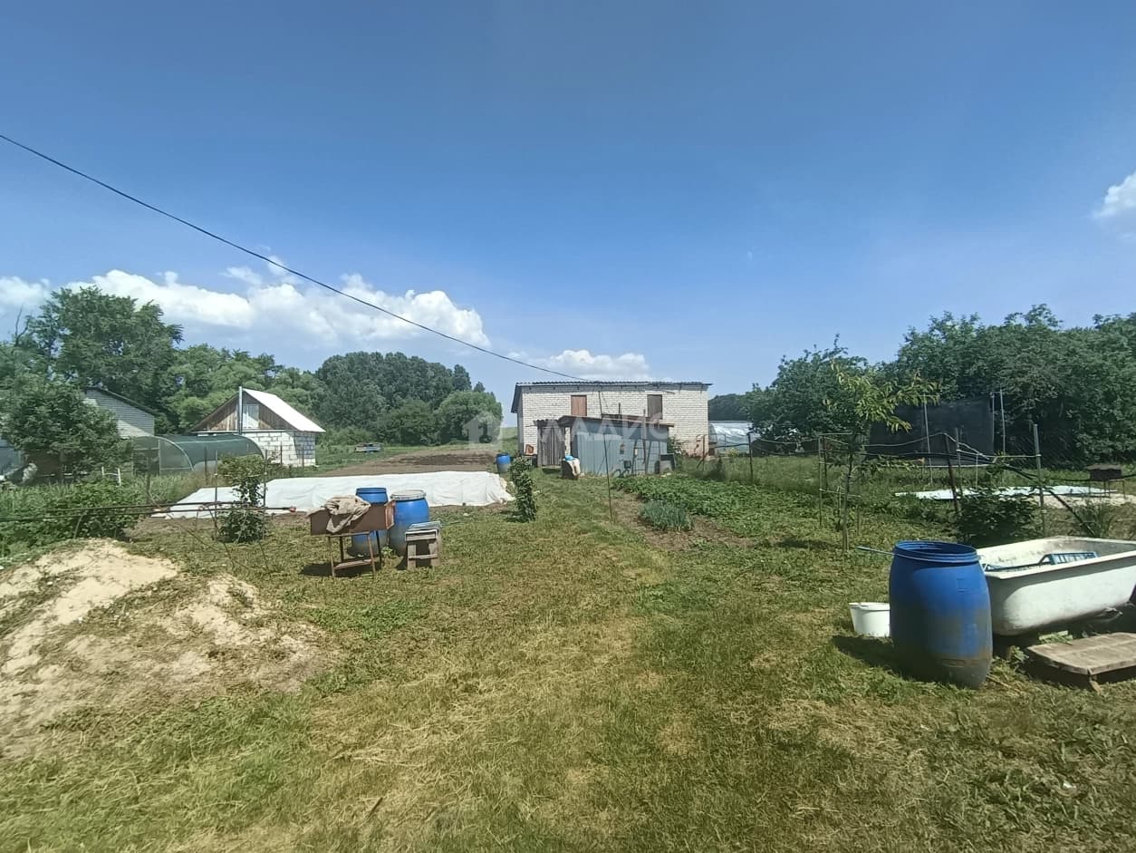 Photo 17