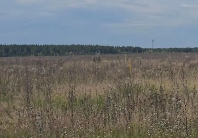 Купить земельный участок в Посёлоке Городского Типе Васильеве в Зеленодольском районе в Республике Татарстан (татарстан). Вариант № 2380014, 1, площадь - квм, цена 980000 рублей