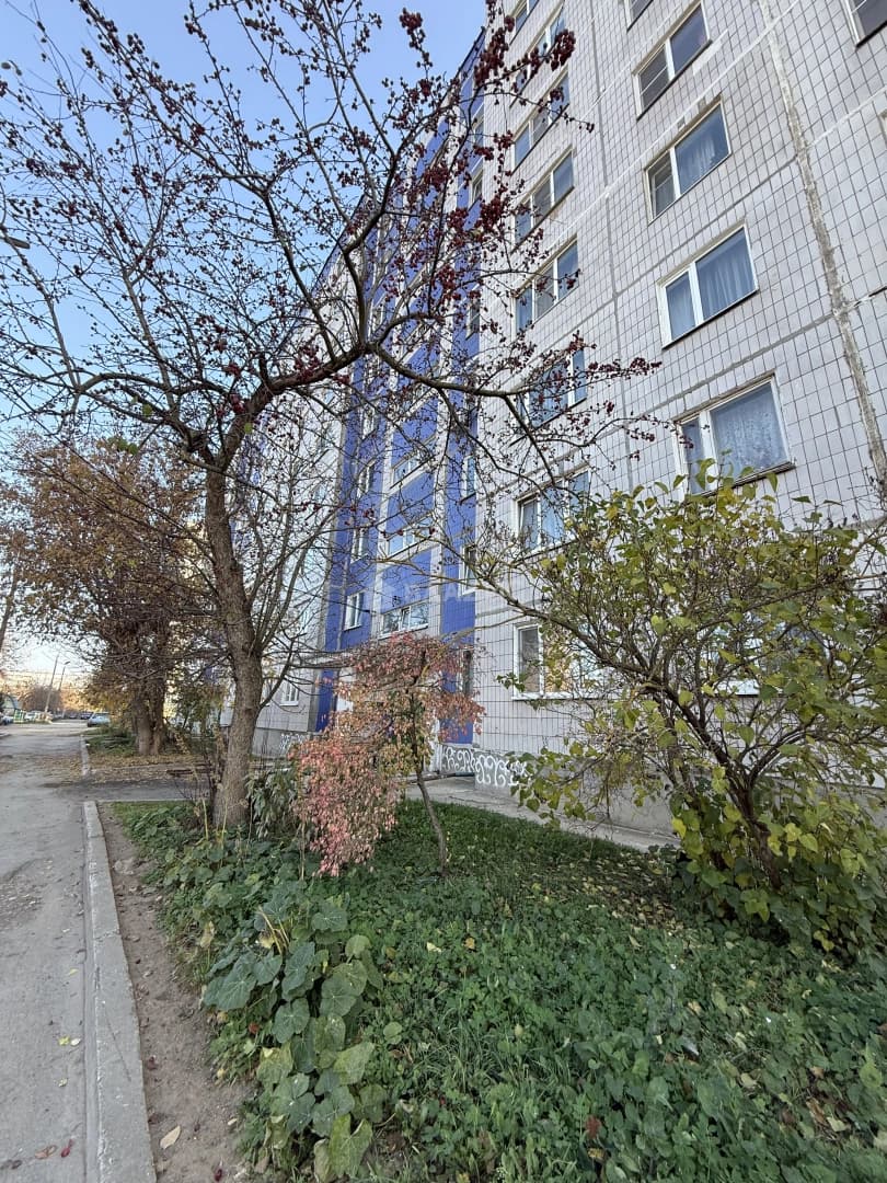 Photo 13