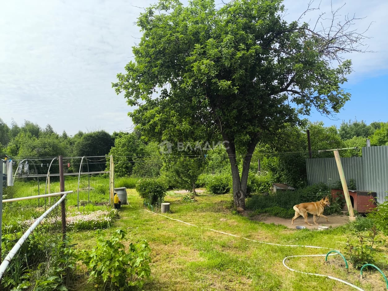 Photo 24