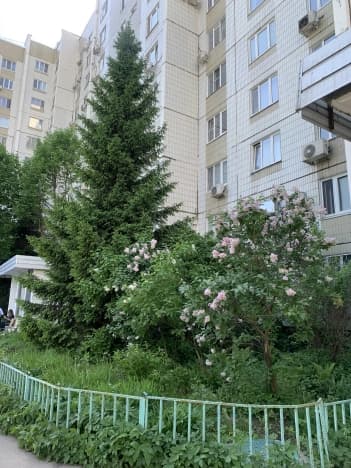 Купить квартиру с ремонтом в Микрорайоне Б, район Южное Бутово в Москве. Вариант № 2182017, 1, площадь - квм, цена 19000000 рублей