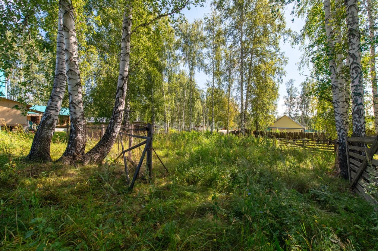 Photo 40