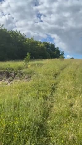 Купить земельный участок в Посёлоке Дубовом в Белгородском районе в Белгородской области. Вариант № 2291185, 1, площадь - квм, цена 850000 рублей