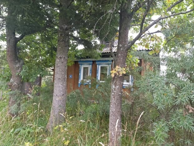 Купить дом в Деревне Байгуши в Судогодском районе в Владимирской области. Вариант № 2312581, 1, площадь - квм, цена 700000 рублей