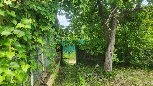 Купить земельный участок в СНТ в Нижегородской области. Вариант № 2209653, 1, площадь - квм, цена 1200000 рублей
