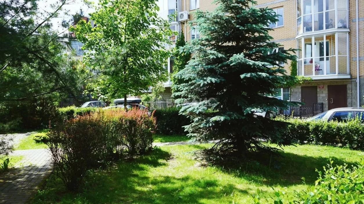 Photo 26