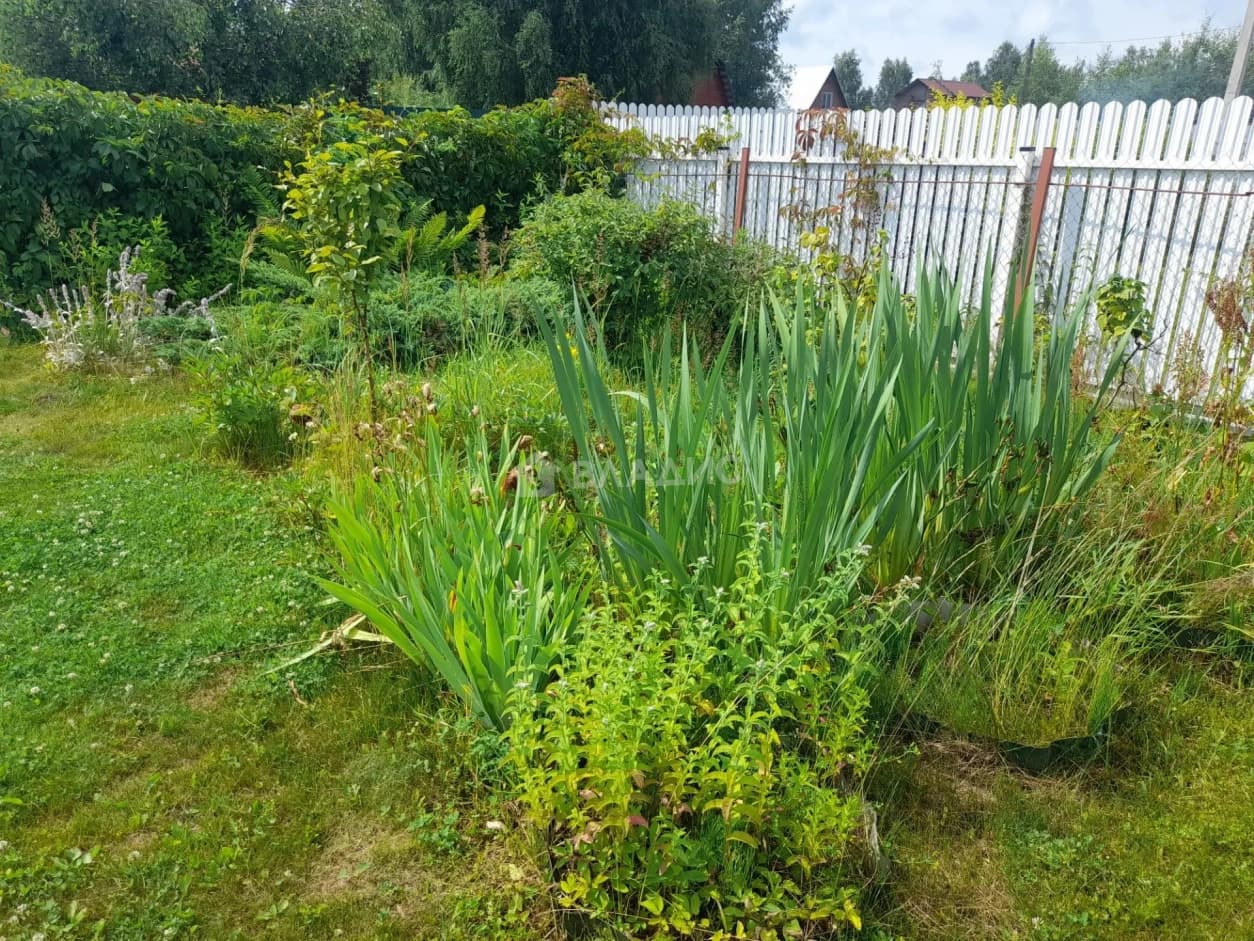 Photo 31