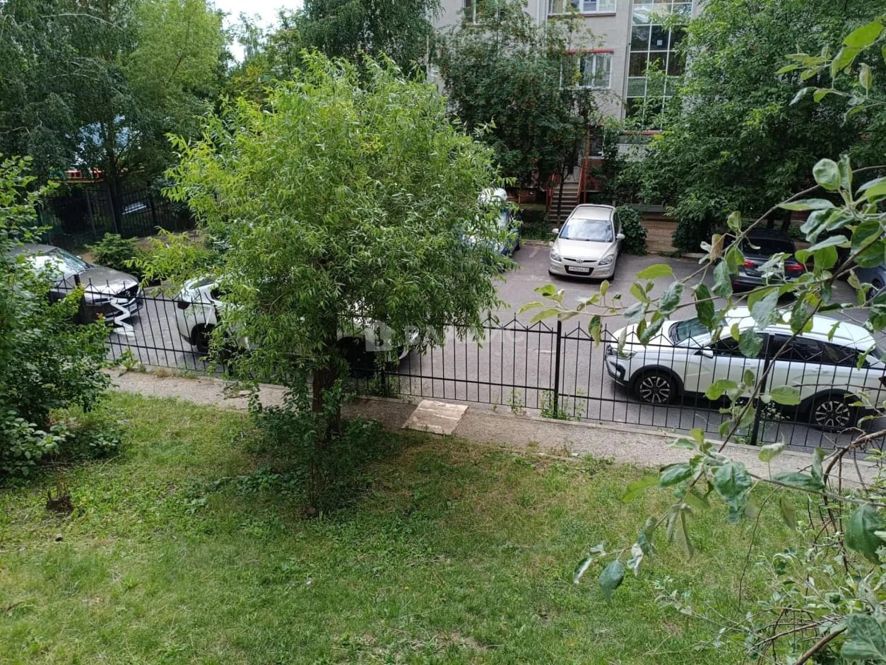 Photo 19