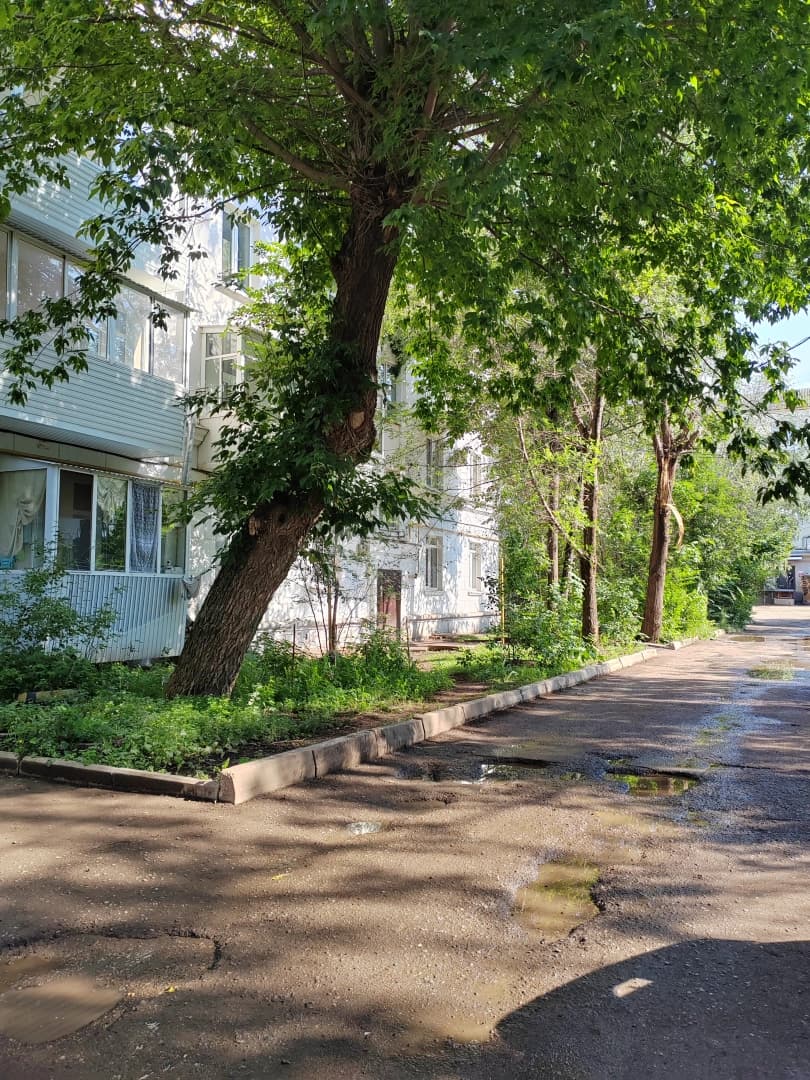 Photo 31