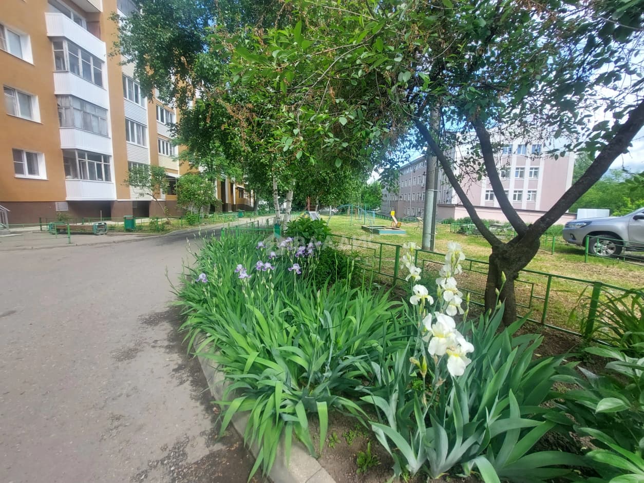 Photo 19