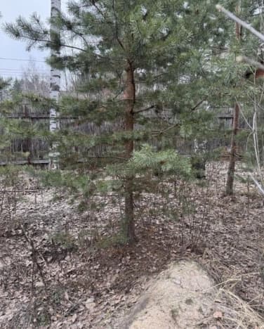 Купить земельный участок у метро Бульвар Адмирала Ушакова в Московской области. Вариант № 2175743, 0, площадь - квм, цена 12900000 рублей