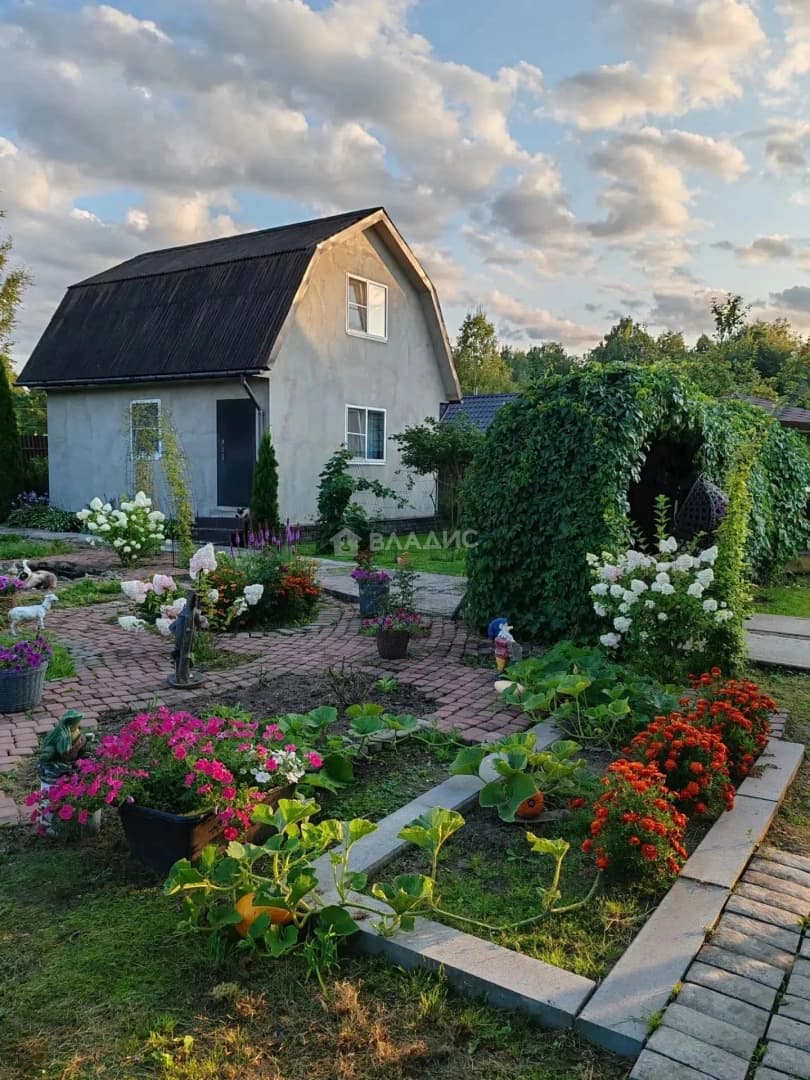 Photo 8