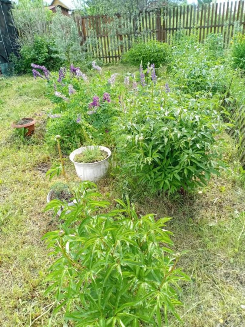 Photo 29