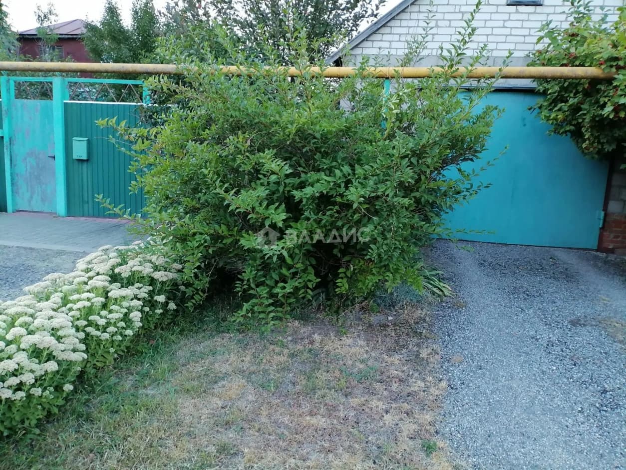 Photo 26