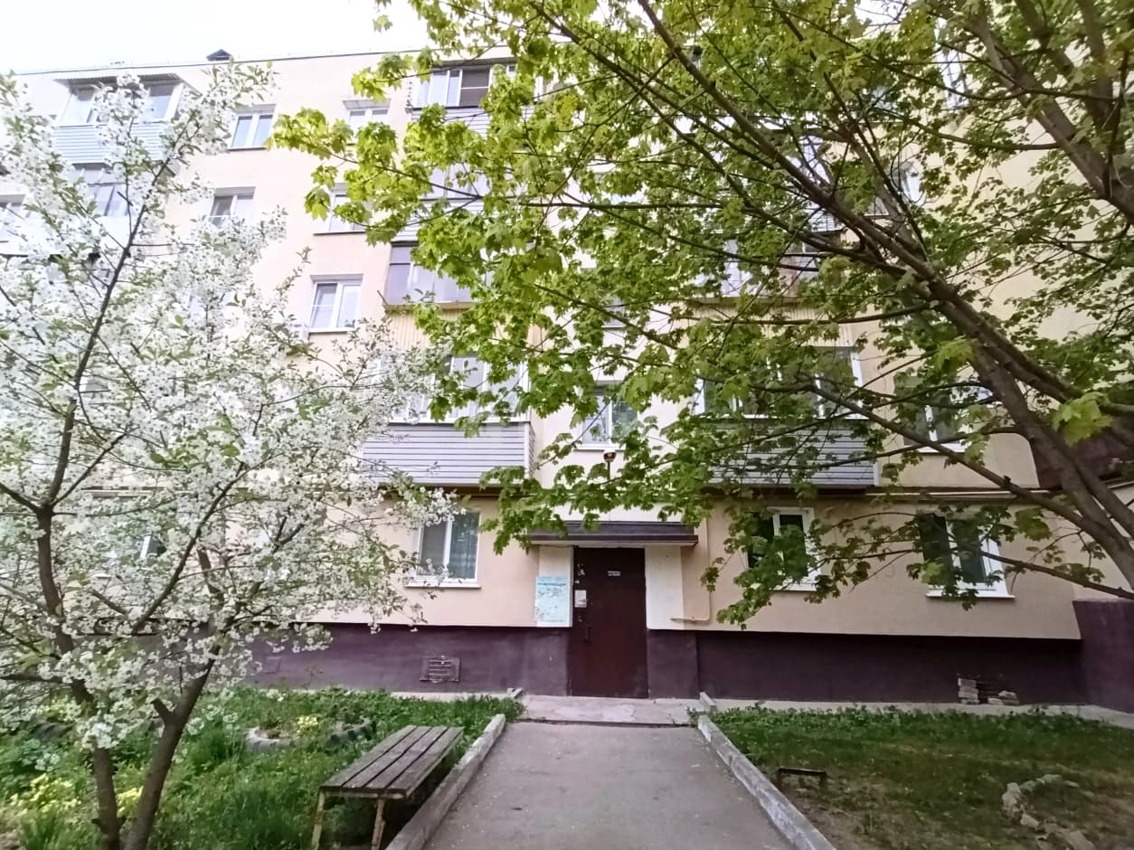 Photo 19