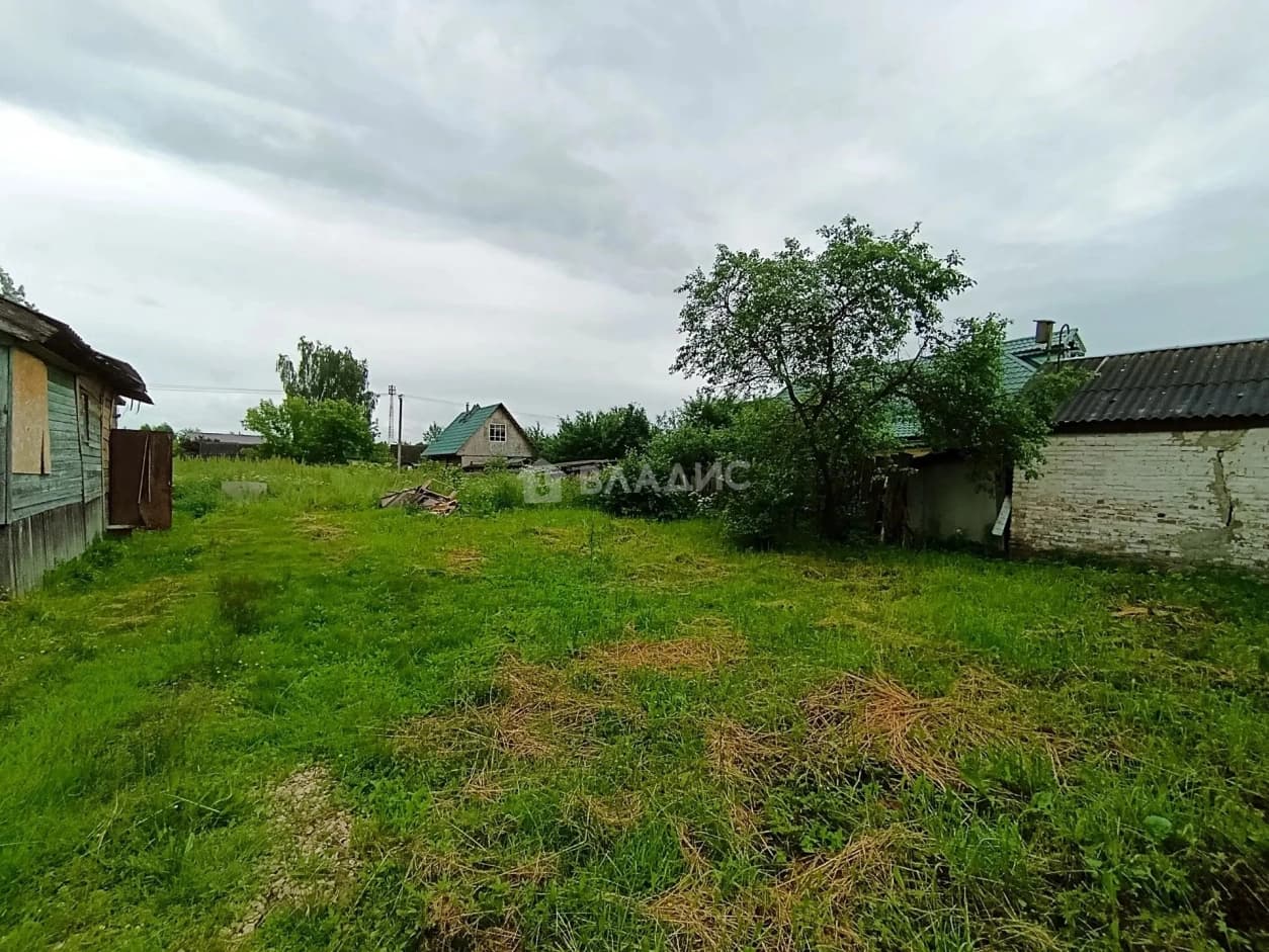 Photo 31