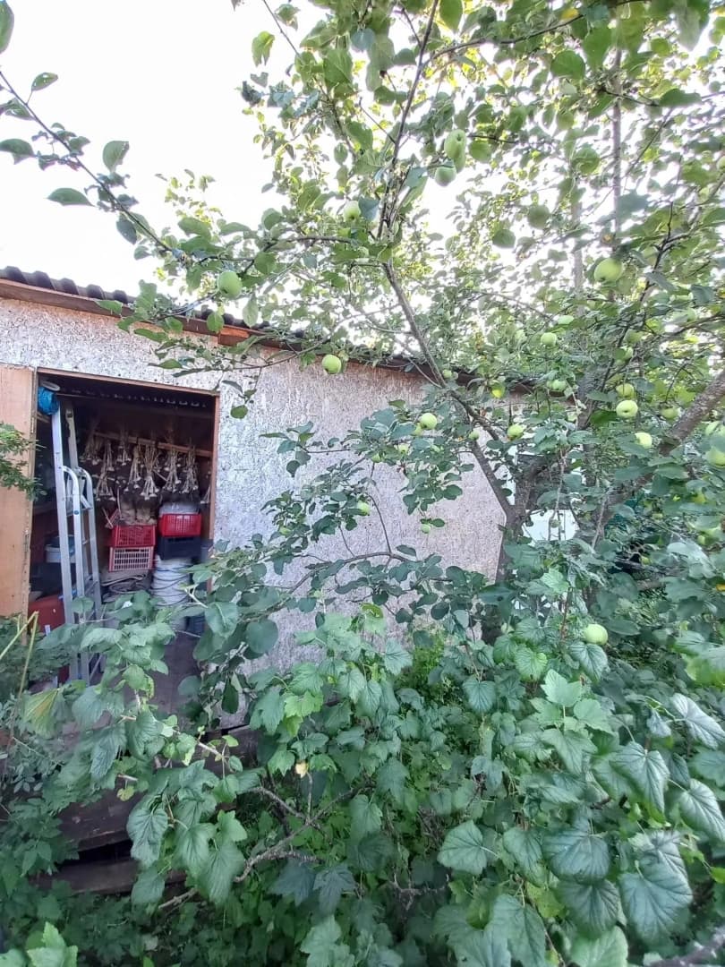 Photo 25