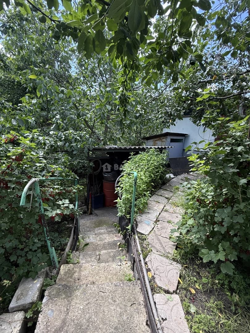 Photo 25