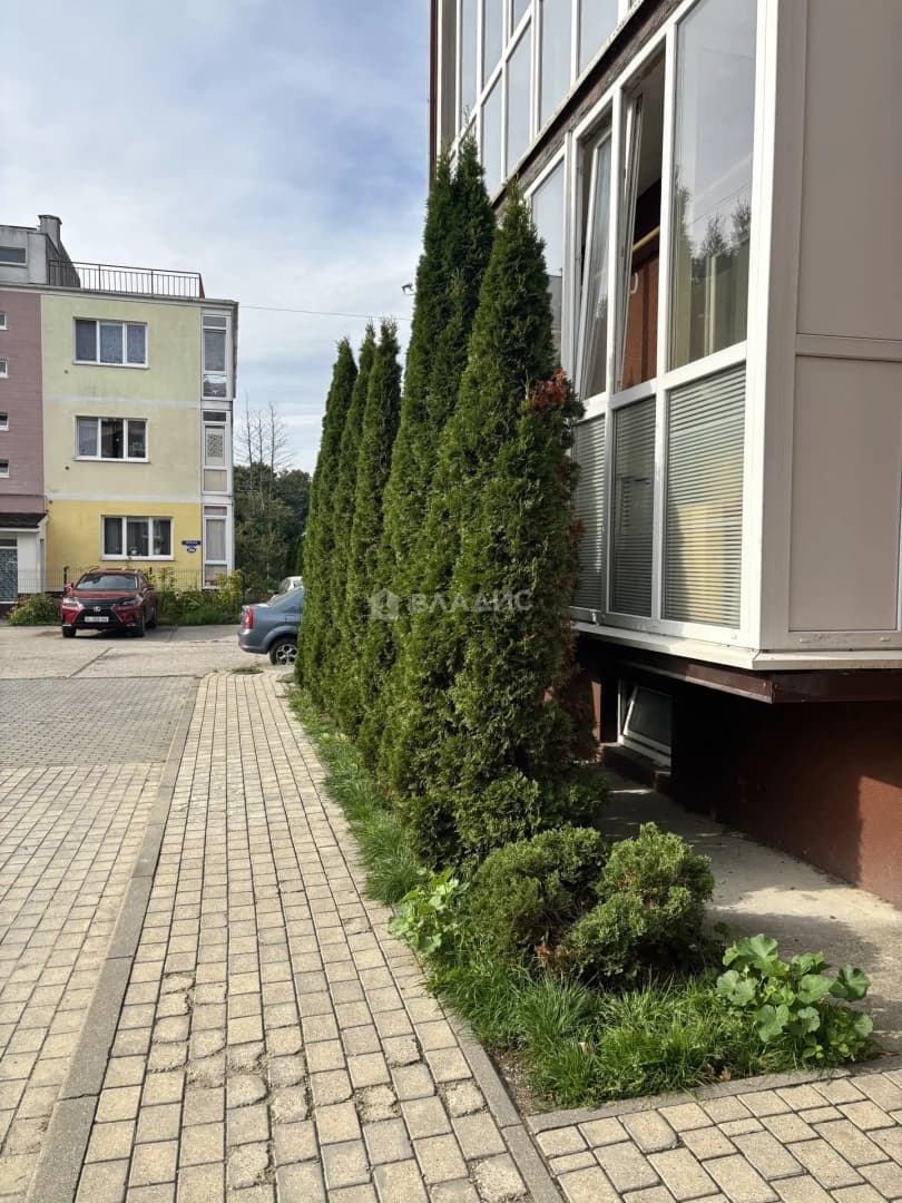 Photo 20
