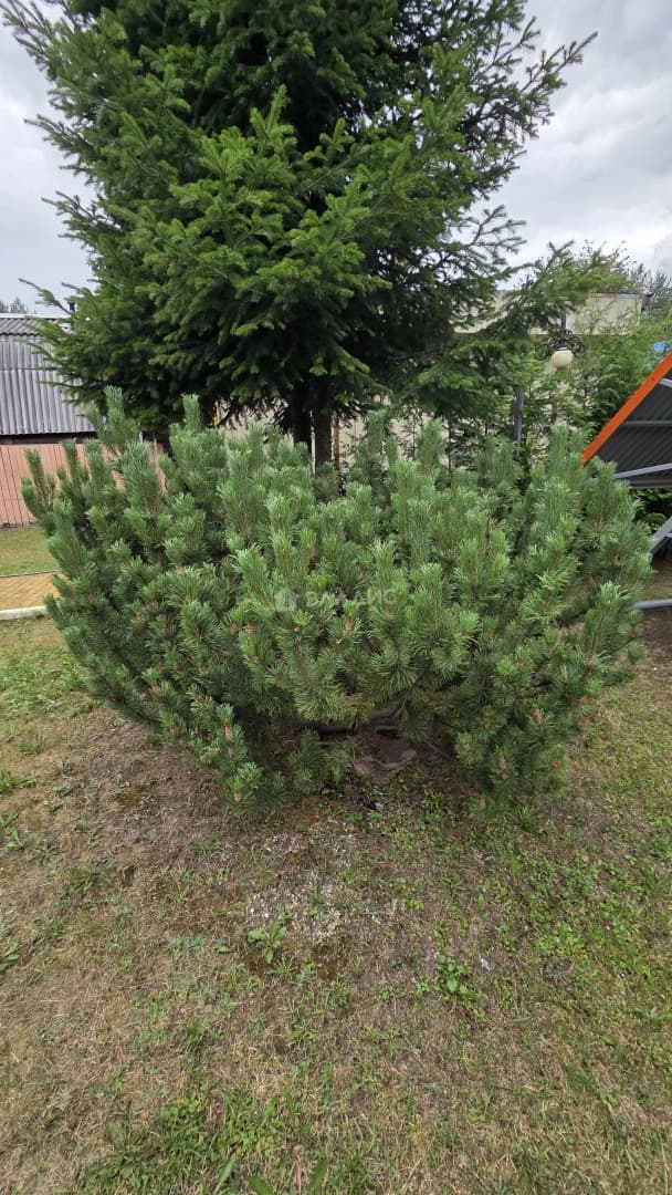 Photo 27