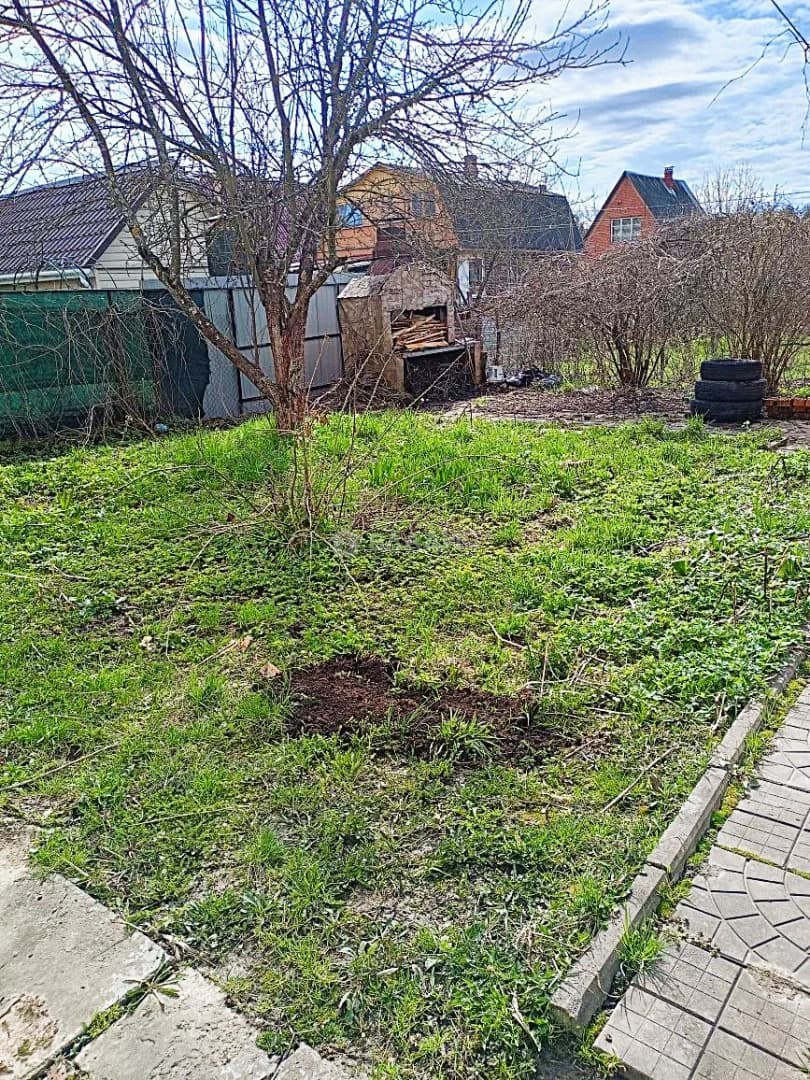 Photo 21