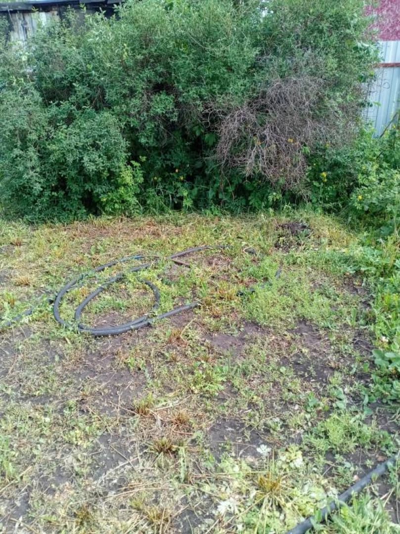 Photo 35