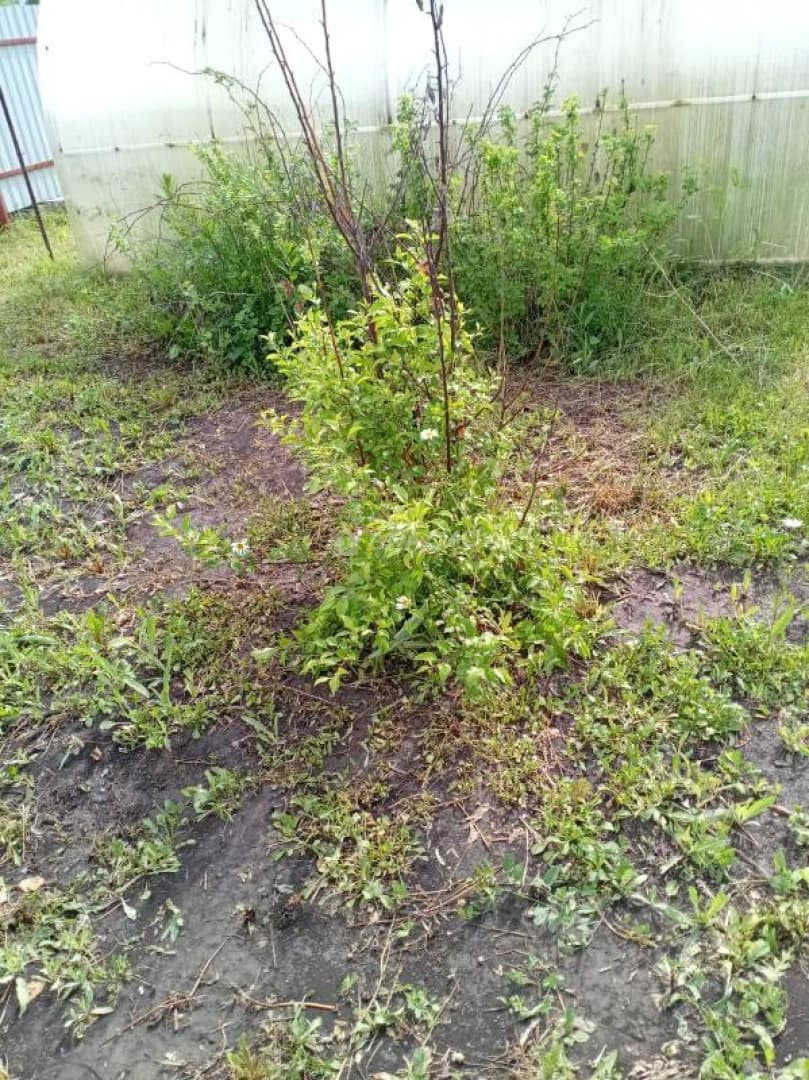 Photo 33
