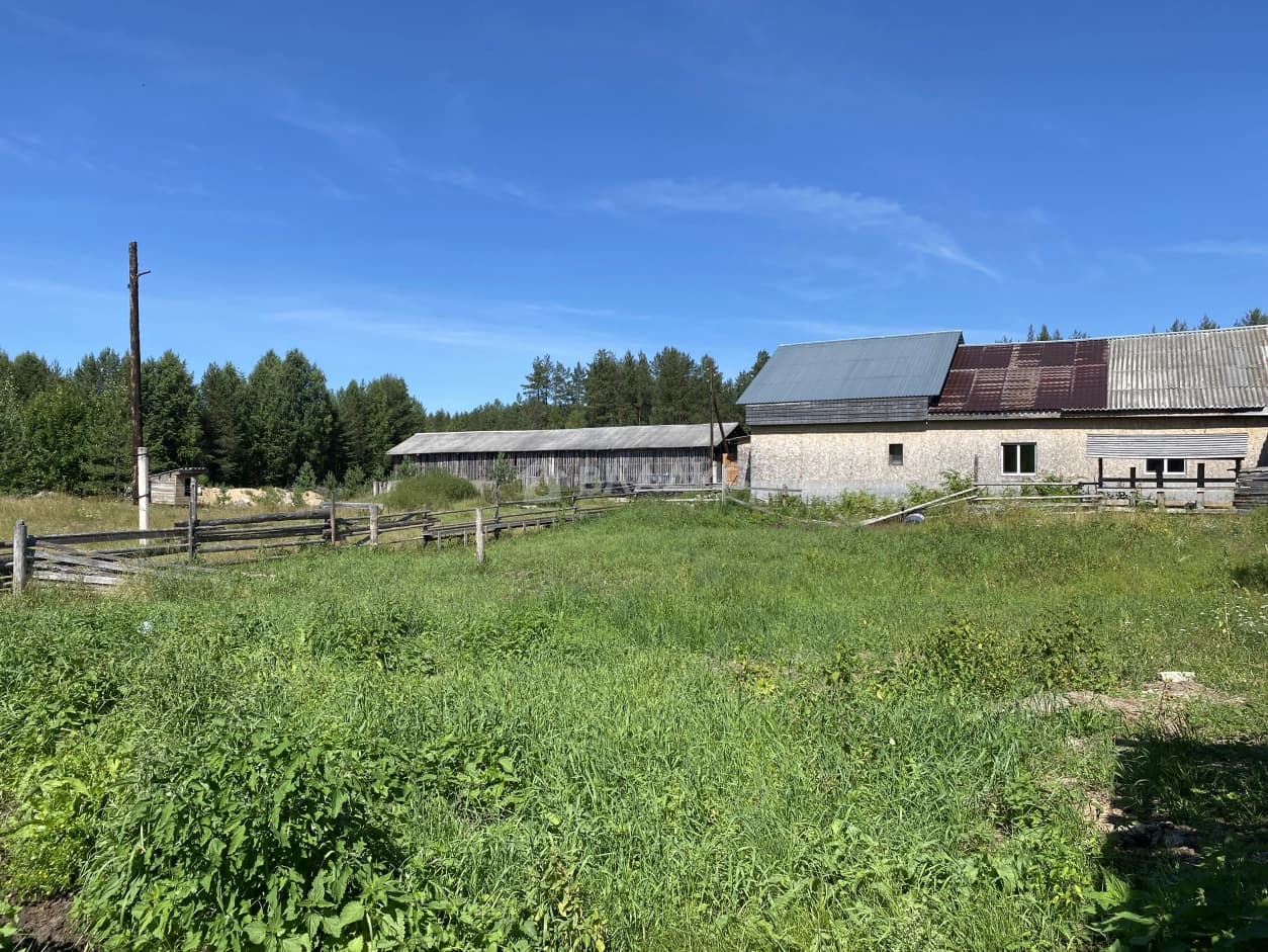 Photo 21