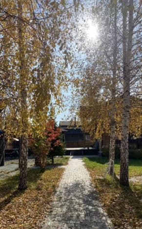 Купить квартиру со свободной планировкой до 2 млн в Новосибирске. Вариант № 2279910, 1, площадь - квм, цена 20500000 рублей