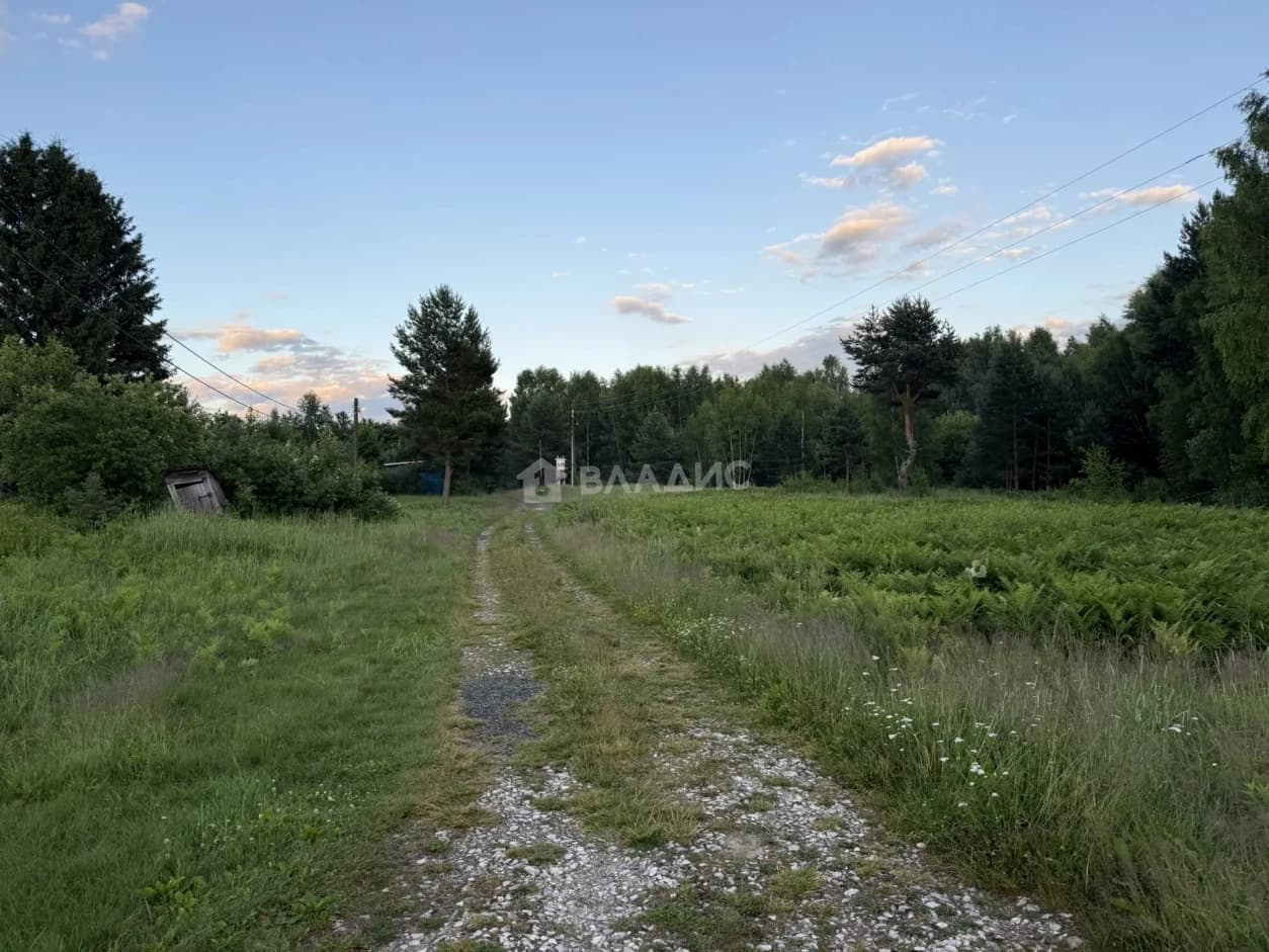 Photo 43